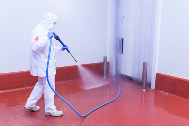 Professional Pressure Washing Services in Country Knolls, NY