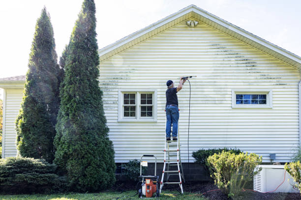Best Window and Screen Pressure Cleaning in Country Knolls, NY